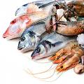 Рыба, морепродукты Рыба, морепродукты